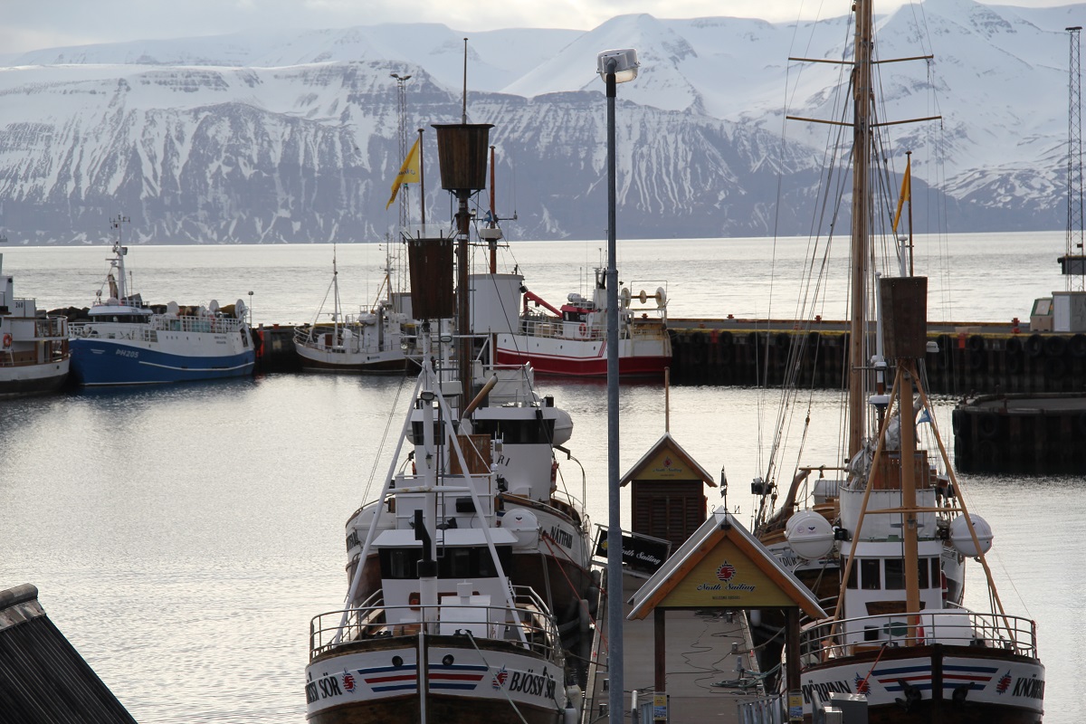 fromHusavik.jpg