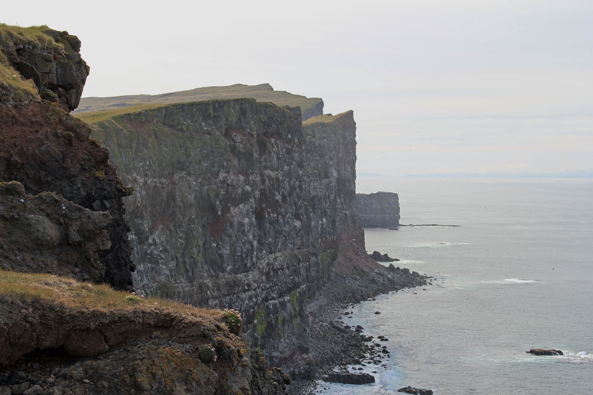 Latrabjarg 2.JPG