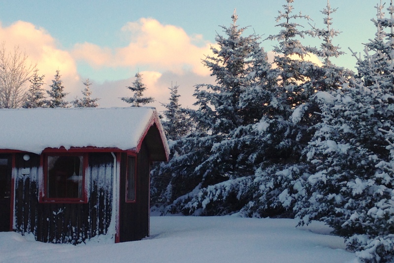 Arhus Cottages South Iceland.jpg