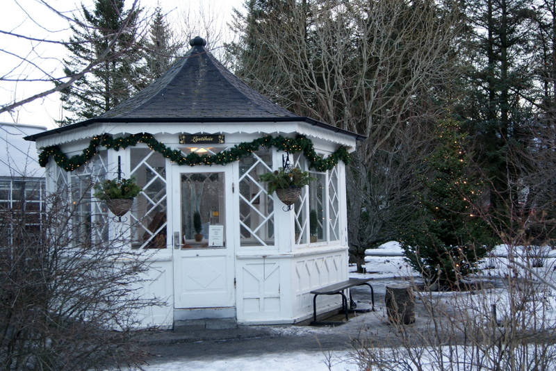 Botancial Garden Reykjavik.jpg