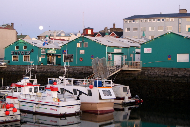 Reykjavik - harbour.jpg