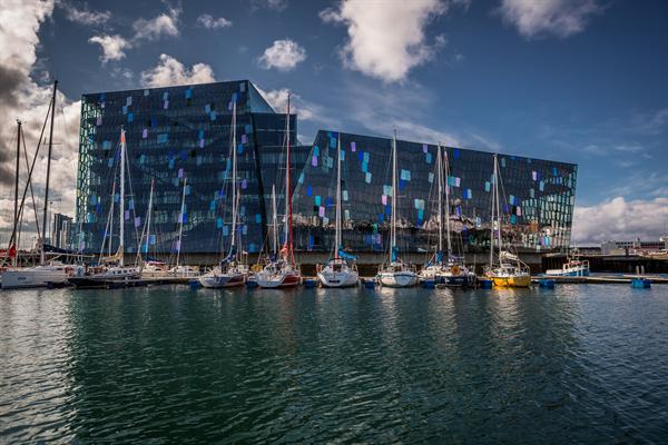 harpa 1.jpg