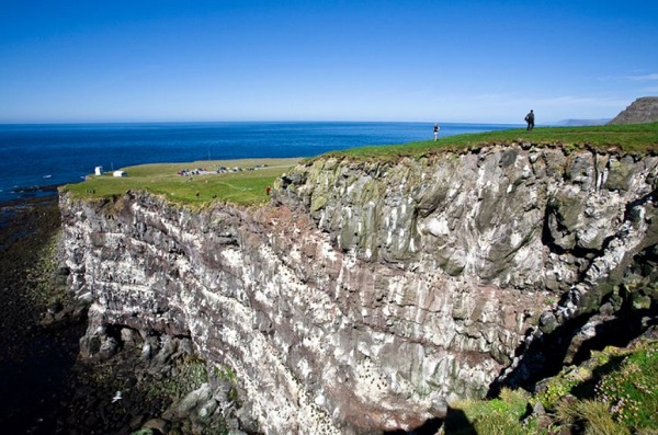 Latrabjarg.JPG