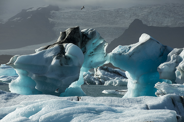 jokulsárlon_8HS9602.jpg