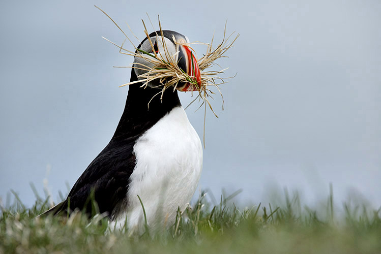 MAI around ljósmynd.jpg