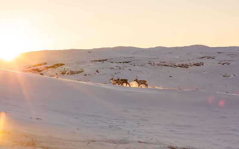 Kangerlussuaq.jpg